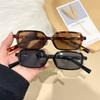 2pcs European and American Retro Fashion Y2K Sunglasses for Summer Sun Shading, Sun Protection, UV Protection, Lightweight Sungl