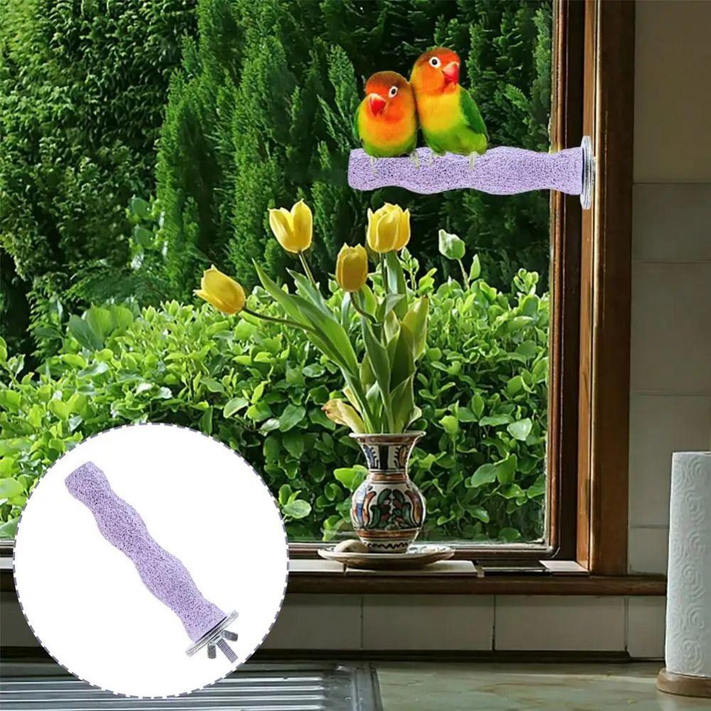 Non-slip Paw Grinding Sticks Resin Jumping Platform Bird Teeth Chew Toy Pet Bird Supplies