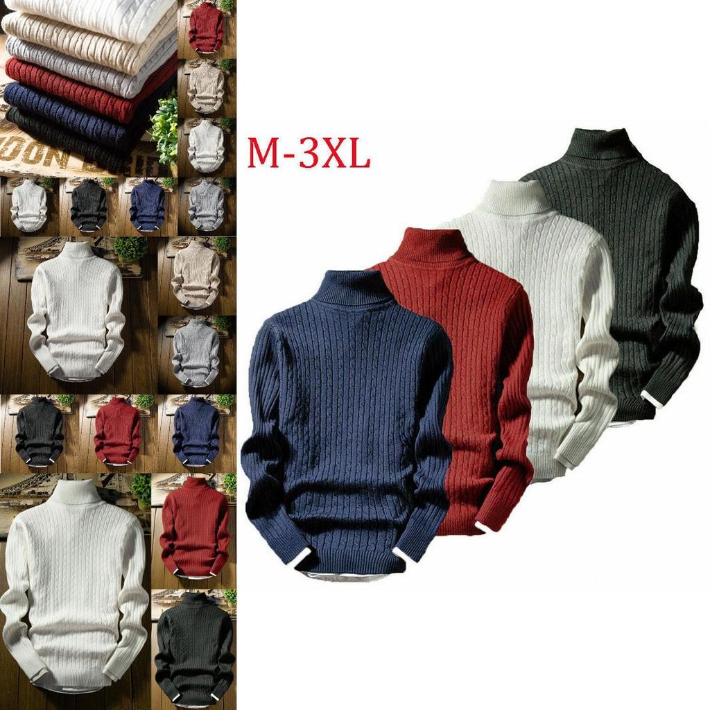 Men's Winter Slim Turtleneck Pullover Sweater For Casual Stylish Looks