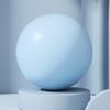 Exercise Ball, 25cm 10Inch Soft Pilates Ball, Small Yoga Ball, Gymnastics Ball, Fitness Ball for Stretching Core Fitness