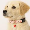 Adjustable Dog Strawberries Collar Soft Cat Watermelon Collar Pet Supplies Dog Necklace  Daily Walk