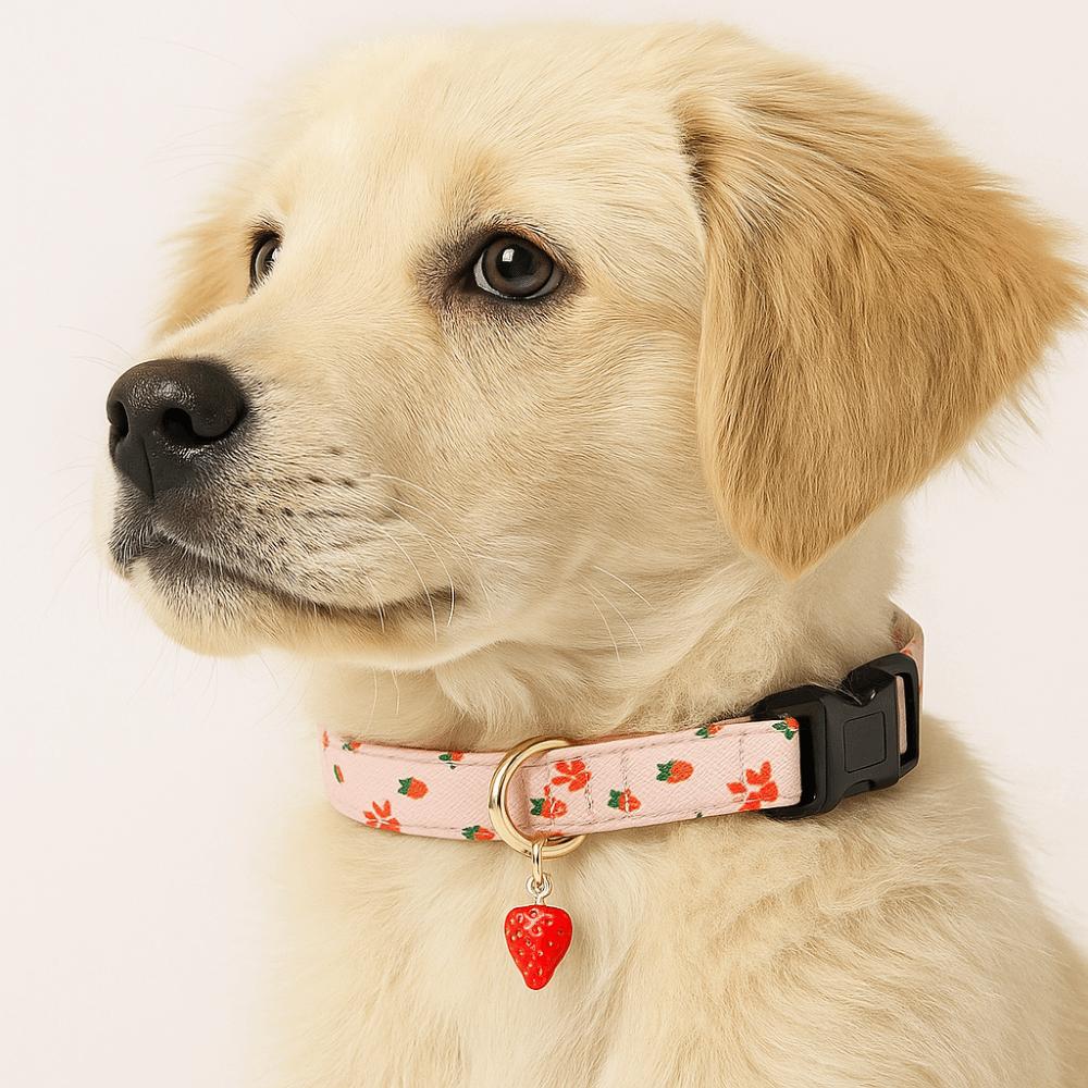 Adjustable Dog Strawberries Collar Soft Cat Watermelon Collar Pet Supplies Dog Necklace  Daily Walk