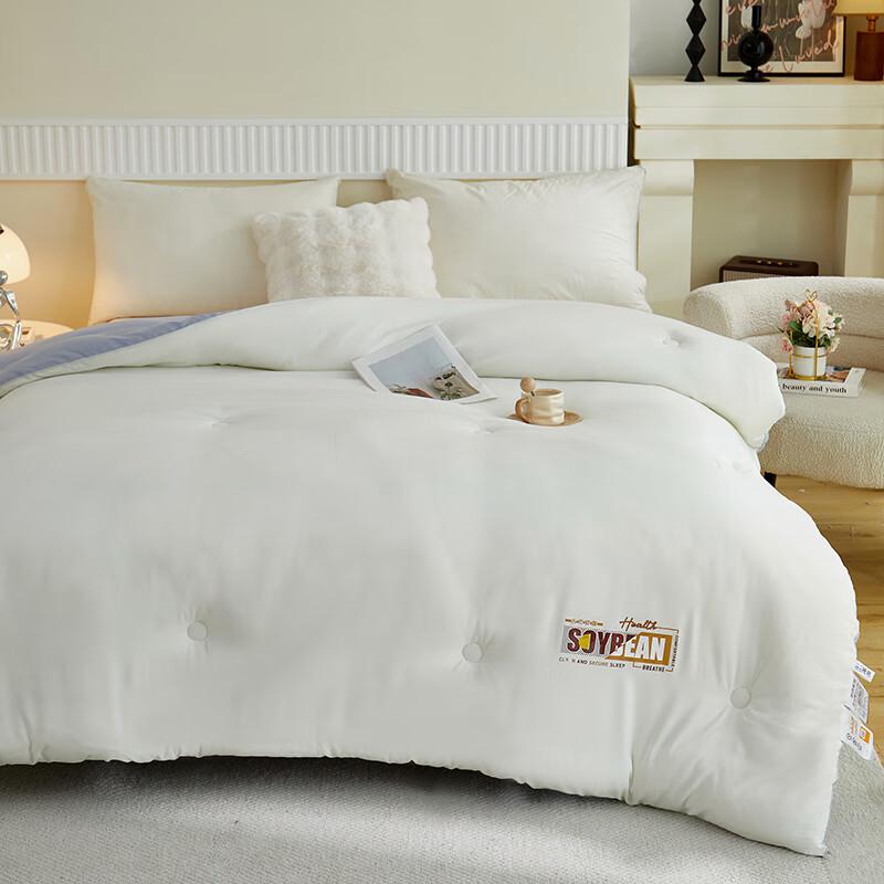 

BIGAMEN BGM-B2553 Cloud Cotton Soybean Duvet