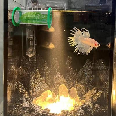 Betta Cave Betta Habitat With Leaf Floating Acrylic Tunnel For Small Fish Shrimp Guppy Enrichment Hiding Exercise Resting