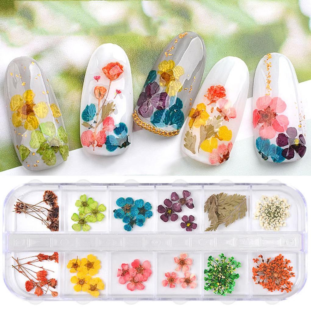 12 Colors DIY Nail Art Dried Flowers 3D Flower Decoration Nails Stickers Tips