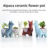 Cartoon Alpaca Succulent Flower Pot, Cute Animal Ceramic Potted Plant, Funny Desktop Decoration, Planters for Indoor Plants