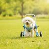 Front Leg Dog Wheelchair Padded Pet Front Leg Wheelchair Mobility Cart Comfortable Long-Lasting for Disabled Dogs