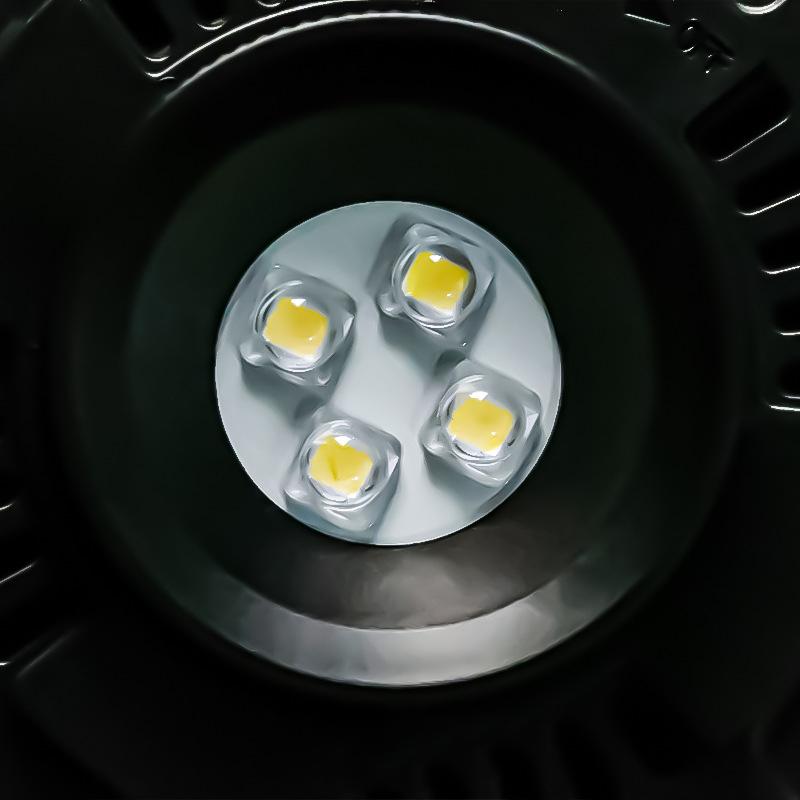 D2 Miniaturgarten Glaspflanzen-Terrarium mit Wachstumslampe Sukkulenten Moos Landschaft Glas-Terrarium Gartengeschenk für Pflanzenliebhaber