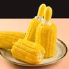 Stainless Steel Corn Fork with Ergonomic Handle Durable,Food Safe BBQ,Fruit Stick Pin Insert for Easy Handling,Corn Handling Utensil Ergonomic Grip
