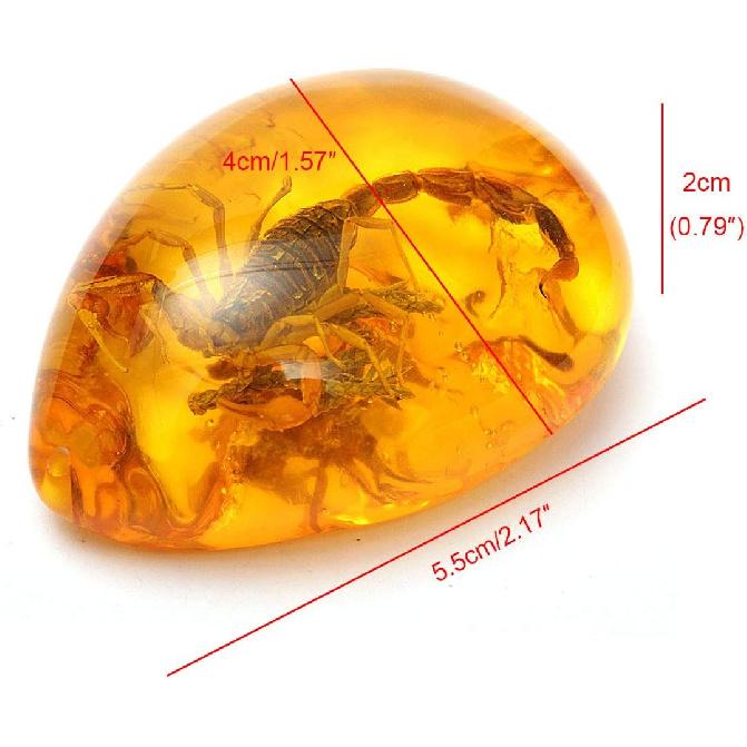 Queenbox Resin Amber Insect Pendant Butterfly Fossil Samples Stones Crystal Home Decorations and Jewelry Making