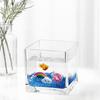 POPETPOP Mini Plastic Fish Bowl for Betta Fish Tanks, Small Fish Bowl, Tank Bowl, Unbreakable Goldfish Bowl