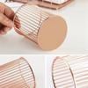 1PC Simple Makeup Brush Storaget Beauty Tools Brush Storage Bucket Desktop Pen Iron