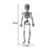 Halloween Skeleton Decoration Full Body Movable Joints Skeletons Model for Spooky Scene