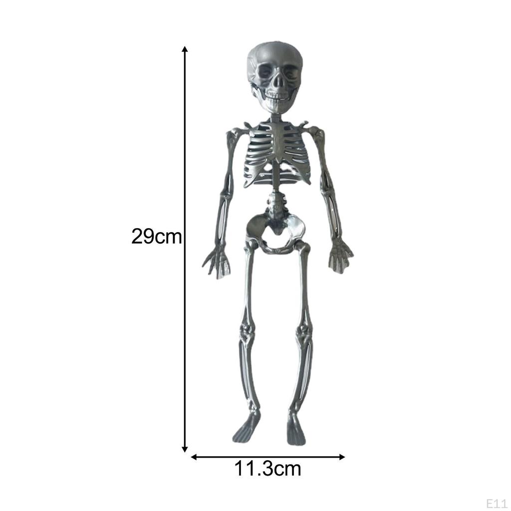 Halloween Skeleton Decoration Full Body Movable Joints Skeletons Model for Spooky Scene
