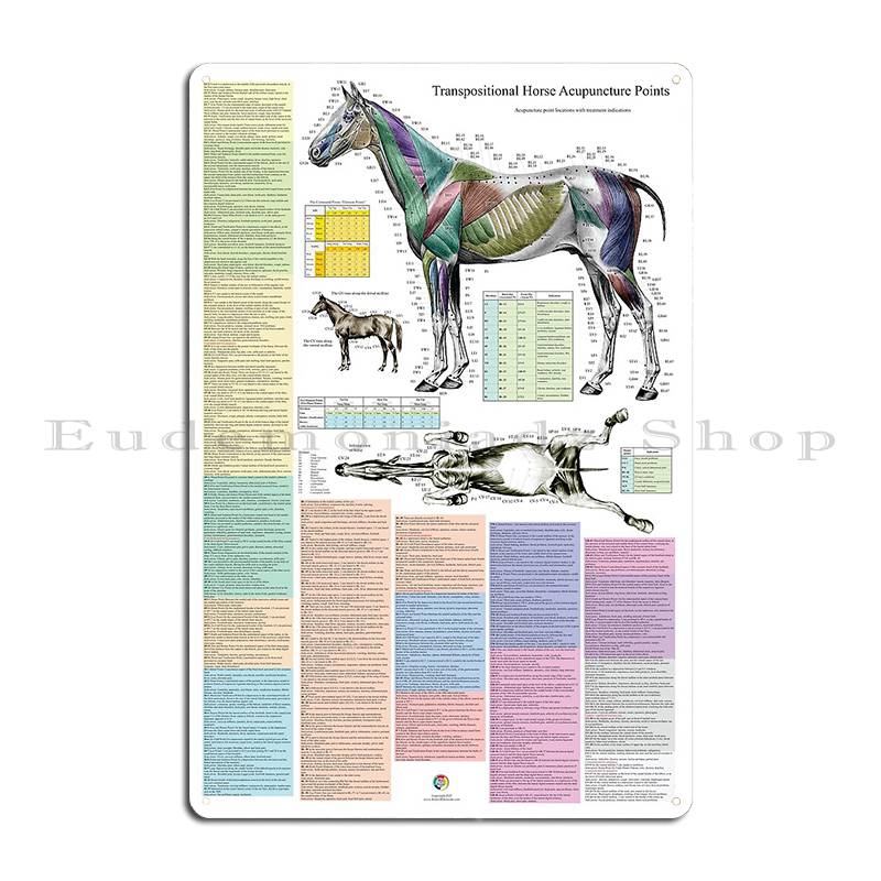 Koňská kosterní anatomie Veterinární nástěnný plakát Průvodce anatomií Kovová deska Dekorace stěny obývacího pokoje nebo hospody Železný plechový znak Plakát