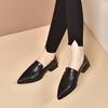 Pointed Small Leather Shoes Women's Spring New Elegant Shallow Mouth Low Heel Single Shoes Simple Temperament Women's Flat Shoes