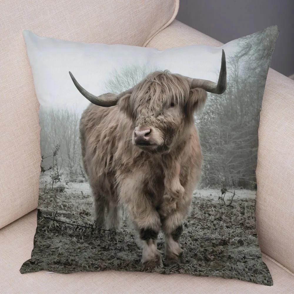 Scotland Kyloe Pillow Case Decor Wild Cow Colorful Animal Print Pillowcase Soft Short Plush Cushion Cover for Home Sofa 45x45cm