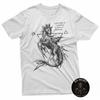 Üst giysisi – T-shirtler