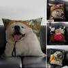 Happy Cute Puppy Smiling Sunshine Pillow Case Anti-dustmite Pillowcase Invisible Zipper Silky Short Plush Sofa Cushion Cover