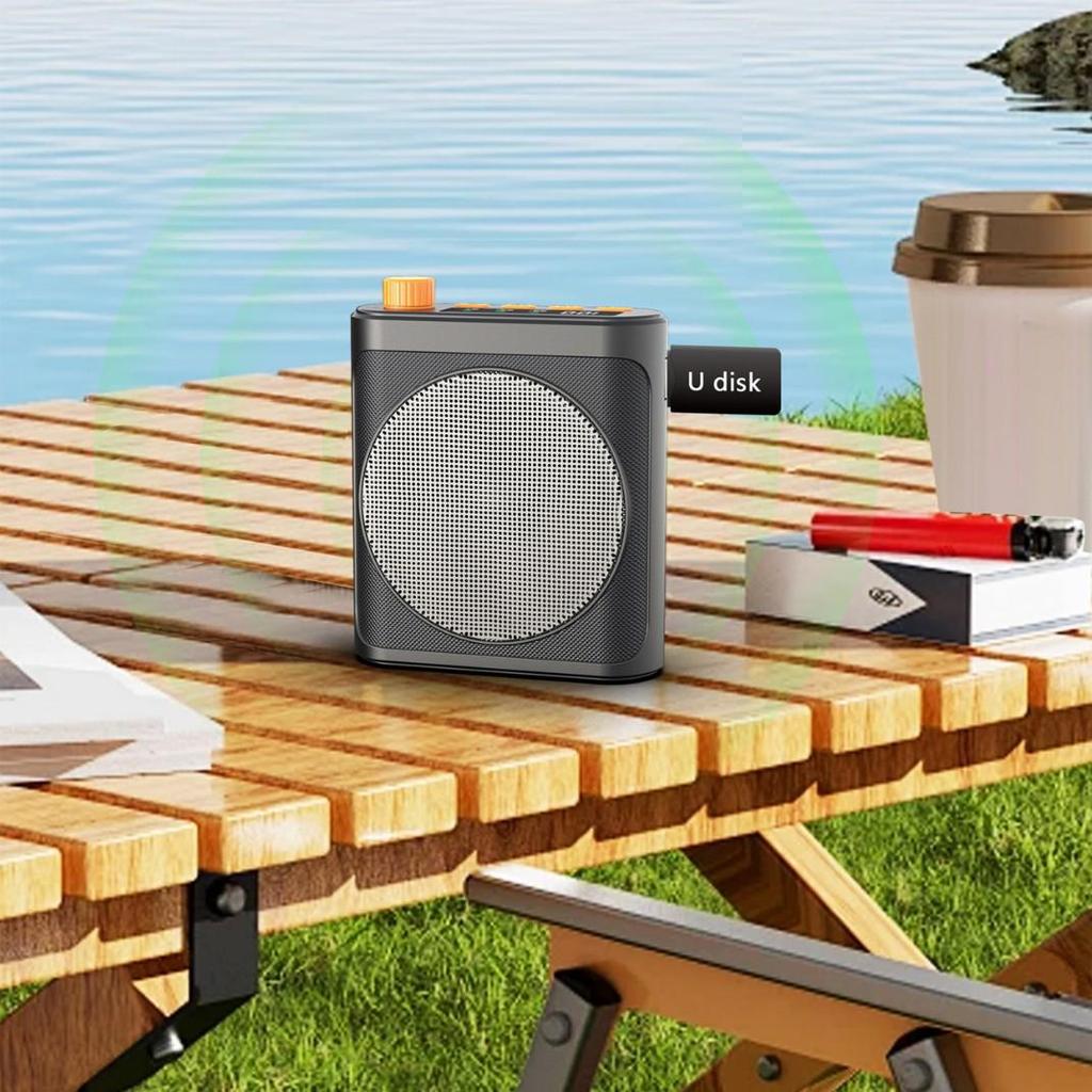 M29 Wireless Portable Lapel Microphone with Charging Case for Live Broadcast and Recording