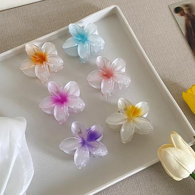 Accesorios para el cabello – Pinzas y clips para el pelo