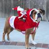 Santa Claus Riding Horse Dog Costume – Festive Pet Christmas Outfit