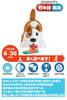 Fisher-Price Chase with Puppy! Bilingual Puppy [6 Months and Up] [Baby Toy] HGY01