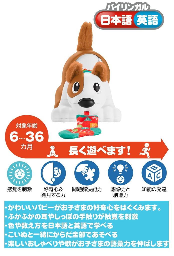 Fisher-Price Chase with Puppy! Bilingual Puppy [6 Months and Up] [Baby Toy] HGY01