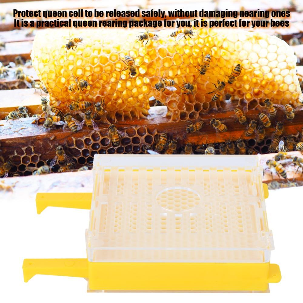 251Pcs Reliable Queen Cell Protective Cover Convenient Full Bee Breeding Set  Beekeeping