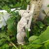 Resin Garden Gnome Figurine Decorative Stair-Climbing Dwarf Ornament Outdoor Patio Balcony Yard Decoration