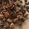 Natural Pine Cones, Logs, and Dried Fruits - Christmas Atmosphere Decoration Supplies