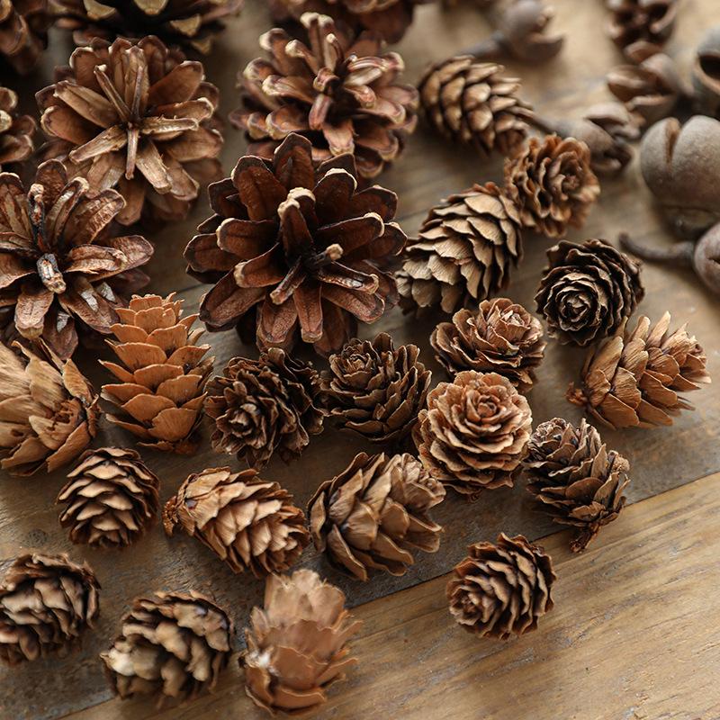 Natural Pine Cones, Logs, and Dried Fruits - Christmas Atmosphere Decoration Supplies