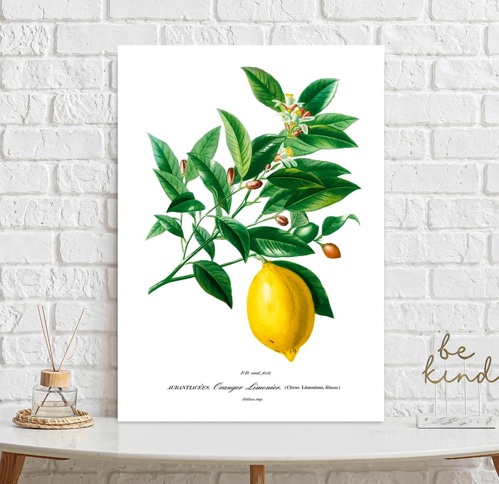Poster Plant Lemon Fruit