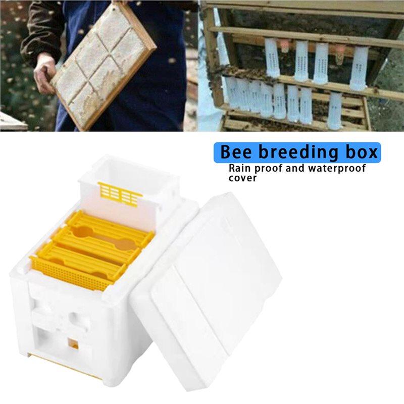 Queen Bee Rearing Mating Beehive Beekeeping Tool Foam Pollination Box Bee Breeding Foam Box For Bees Equipment