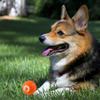 Shaky Ball for Dogs, Vibrating Dog Ball, Vibrating Ball for Dogs, Shaky Ball Moving Dog Toy, Automatic Moving Dog Toy Ball, Suitable for All Dogs