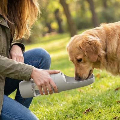 Cani – Distributori di cibo e acqua per gatti