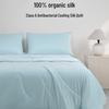 Hengyuanxiang Class A Antibacterial Cool Tussah Silk Quilt