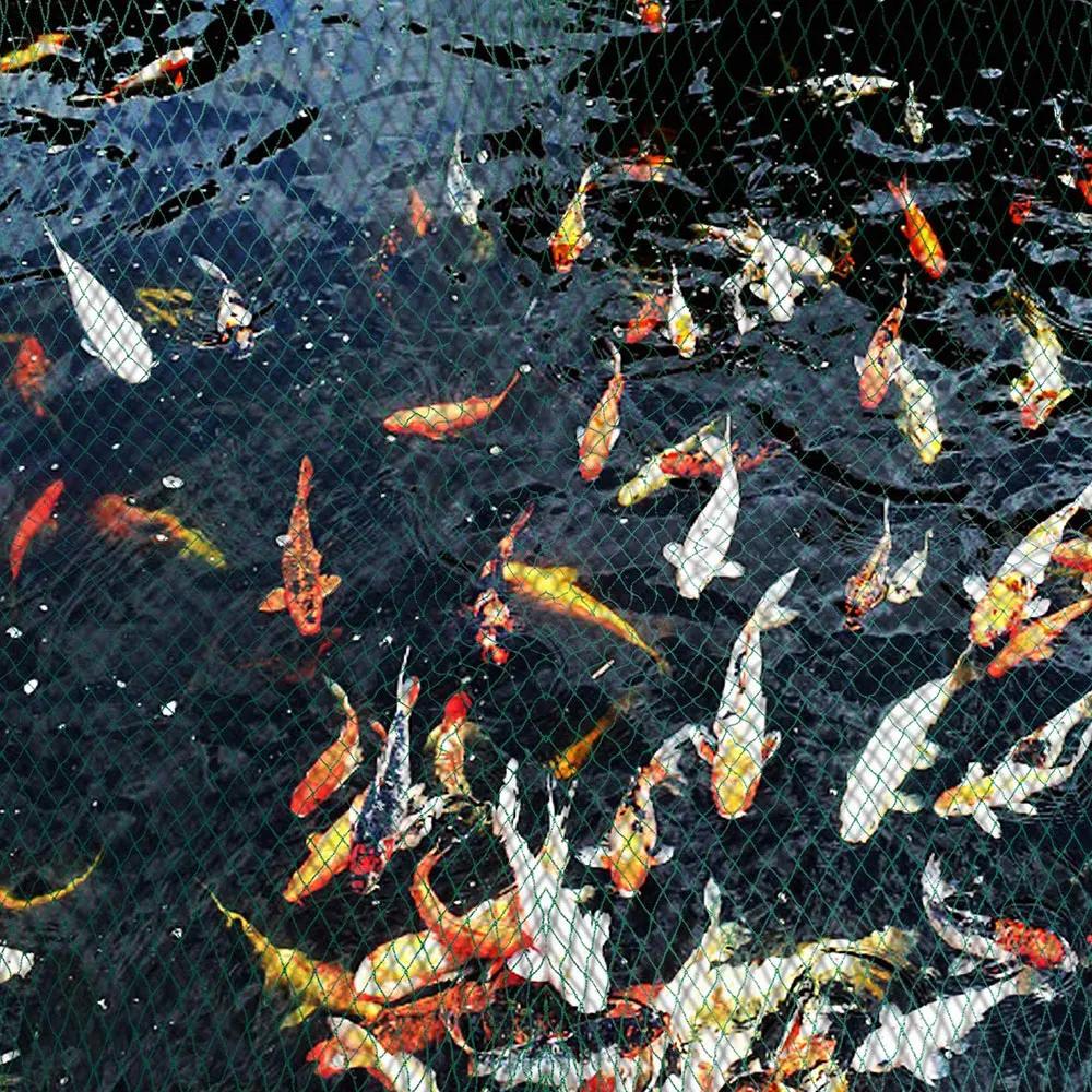 Anti Bird Netting Pond Cover Net Landscape Swimming Pool Protective Net Pond Litter Net for Anti Leaves Cleaning Tools