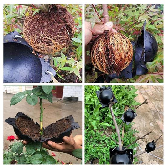 10Pcs Plant Root Growing Box Sturdy Structure Anti-deform Plastic Propagation Ball Plant Asexual Reproduction Devices for Garden