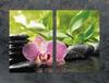 SZKLANA PŁYTA OCHRONNA DO KUCHNI 2x35x52 ORCHIDEA