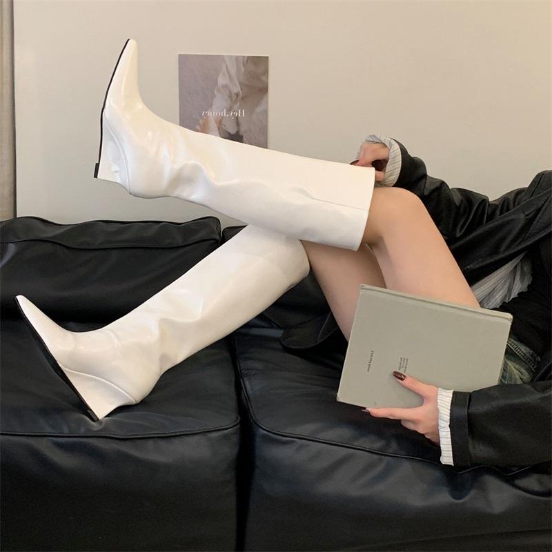 Eilyken Autumn Winter Design Pointed Toe Women Knee High Boots Ladies Shoes Wedges Heels Modern Long Booties Largas Mujer