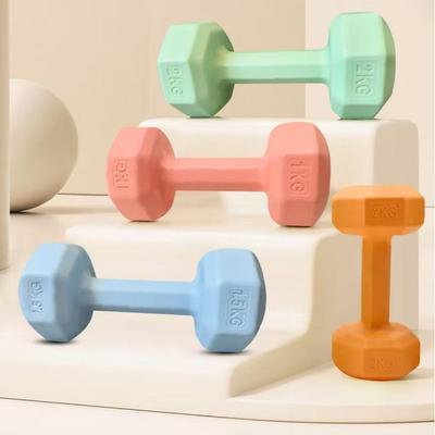 Attrezzature fitness – Manubri