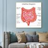 Human Organs Brain Liver Heart Anatomy Poster Print Canvas Painting Human Body Map Medical Classroom Office Room Home Decoration