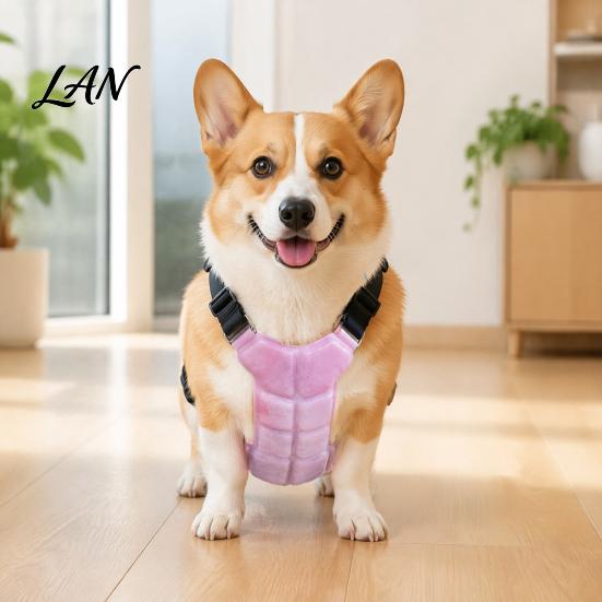 Comfortabel Koeltuigje voor Hond, Ademend Vest met Gel IJsverpakkingen, Hitteberoerte Preventie voor Huisdieren Zomerjas Groot Medium