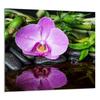 PANEL SZKLANY DO KUCHNI 65x60 Orchidea