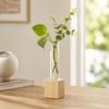 Minimalist Hydroponic Flower Vase Home Decoration Flower Holder Glass Tube Vase  Office Decor