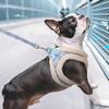 Winter Small Dog Harness Vest and Leash Set Cotton Comfortable Soft Puppy Dog Harness and Leads Cat Pet Harness for Small Dogs