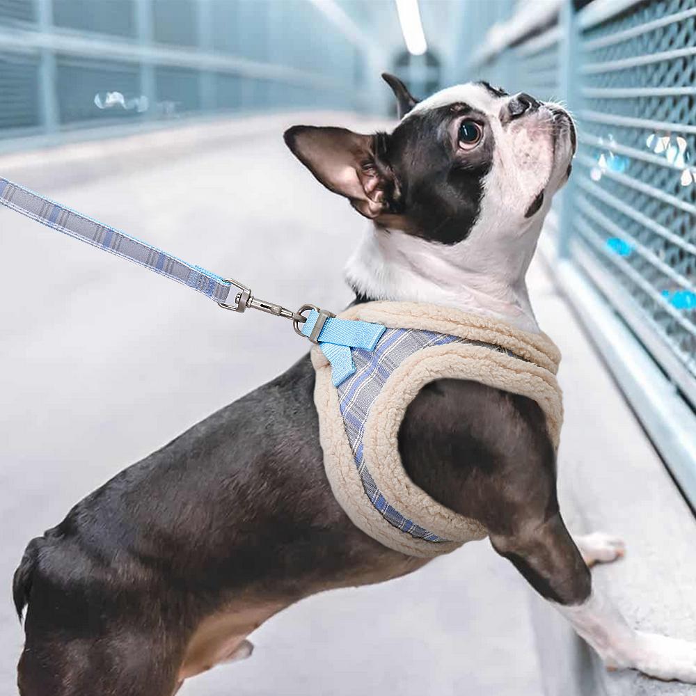 Winter Small Dog Harness Vest and Leash Set Cotton Comfortable Soft Puppy Dog Harness and Leads Cat Pet Harness for Small Dogs