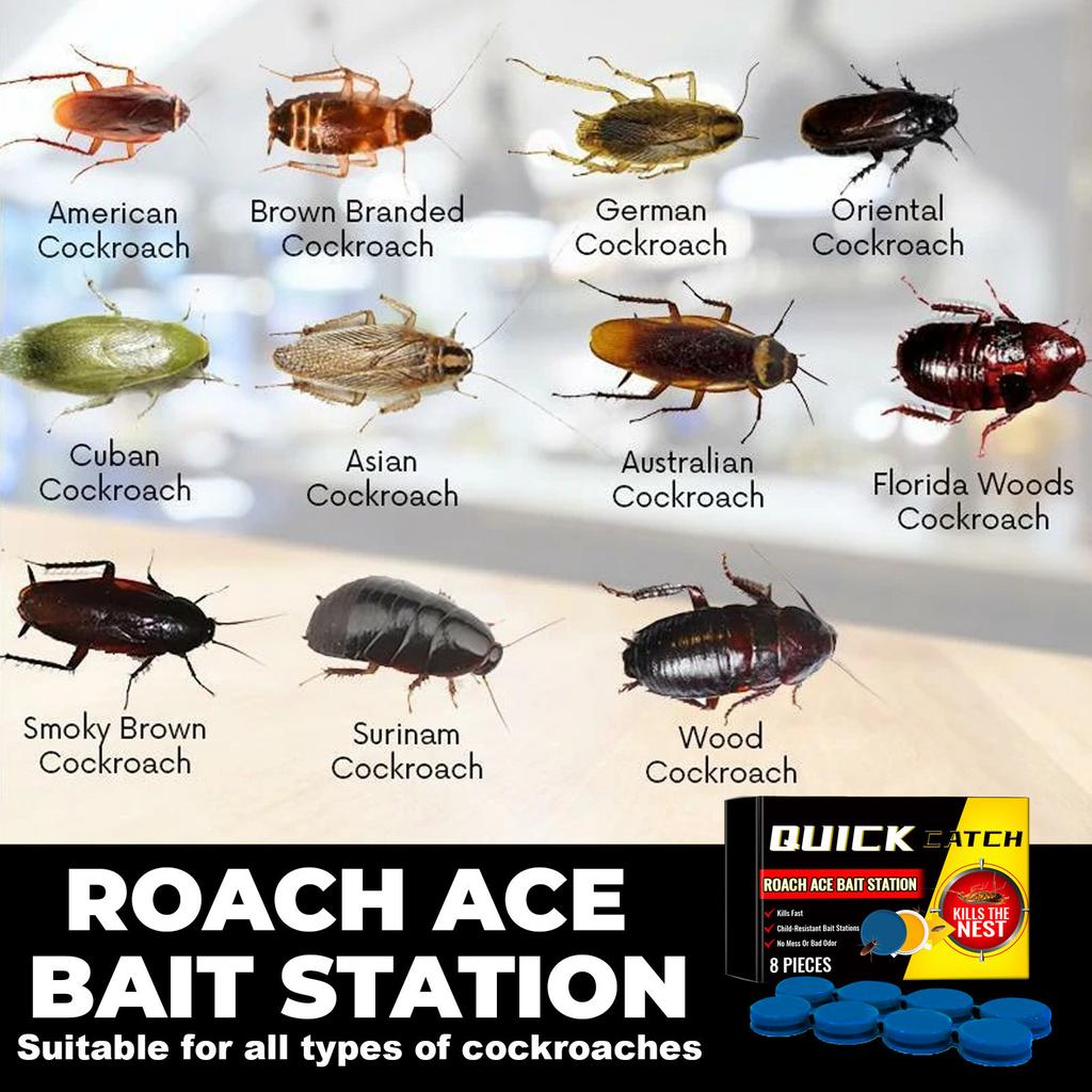 Cockroach Medicament Cockroach Killing Glue Decoy Insecticide Decoy Household Cockroach Killing Kitchen Cockroach Stickers Six Pieces