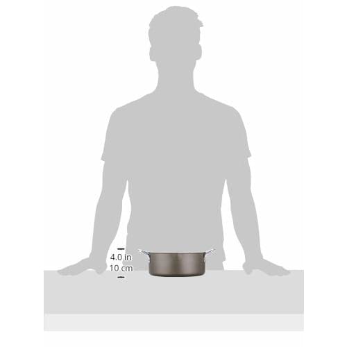 PEARL METAL Age Cook Iron Deep Fryer, 20cm, HB-1371